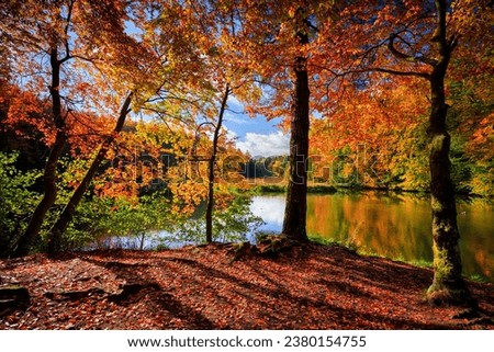 Autumnal landscape of the forest and twisted Radunia river in Kashubia. Poland Royalty-Free Stock Photo #2380154755