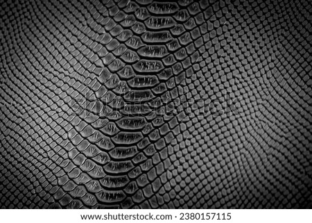Black snake skin texture pattern can see the surface details use for background