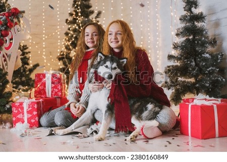 Two teenagers sisters in sweaters and scarfa and a dog husky in red  knitted scarf play in christmas decorations. Noise and sharpen image. Film grain, dust and scratches on the matrix