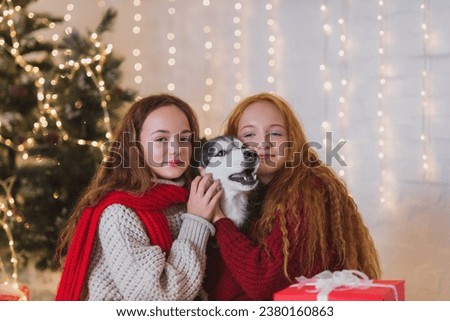 Two teenagers sisters in sweaters and scarfa and a dog husky in red  knitted scarf play in christmas decorations. Noise and sharpen image. Film grain, dust and scratches on the matrix