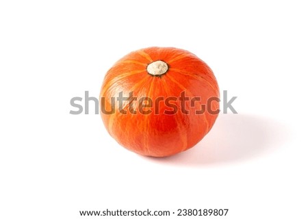 Pumpkin isolated on white background. Orange pumpkin isolated.