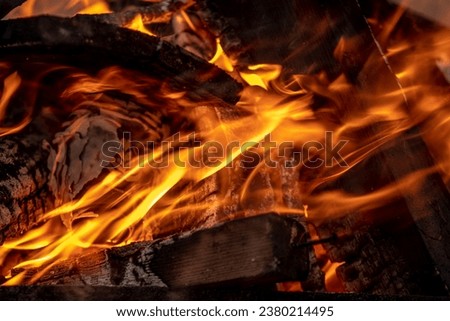 Burning firewood close-up, fire background.