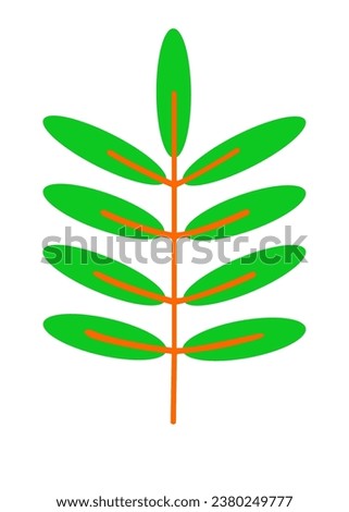 Green tropical leaves clip art set. Isolated elements on a white background