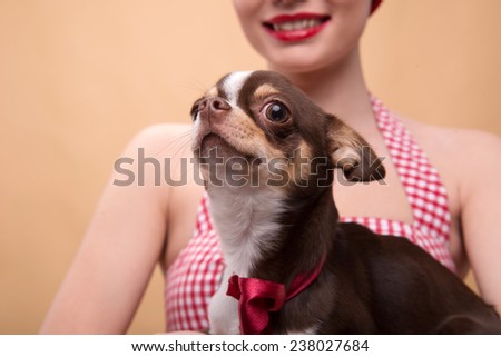 Pretty brunette  girl in rose dress and red headband   in retro style  with Chihuahua looking at camera close up 
