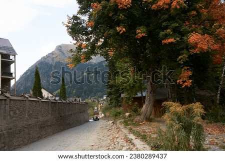 A village in the mountains in the fall. Narrow stony street with scattered picturesque maple trees with red foliage. Downstairs houses among the trees.                               