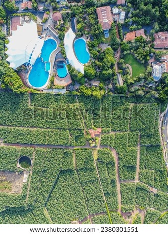 A bird's eye view. Puerto de la Cruz aerial view. Top view. View from a flying drone of Loro park