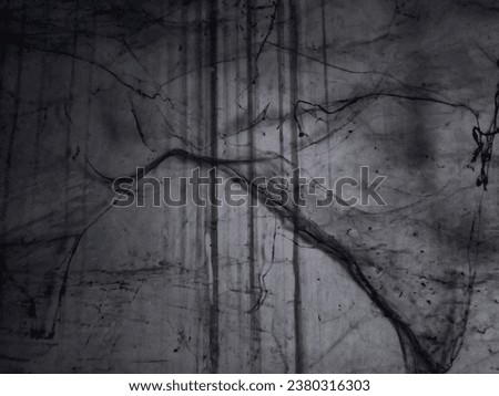 old wall filled with spider webs, halloween theme background, smooth blur, dark concept