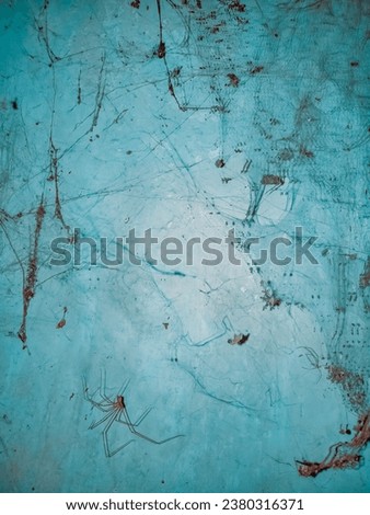 old wall filled with spider webs, halloween theme background, smooth blur, dark concept