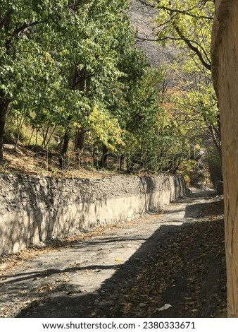 The nice alley between the gardens is covered with leaves in the fall season, and the wall is made with stone layers and sunlight makes a magnificent view of the road and a warm picture.