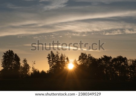 The sun rises behind trees. The sun's rays form a star of light between the trees. In the background the cloud-covered sky, which is still colored red.