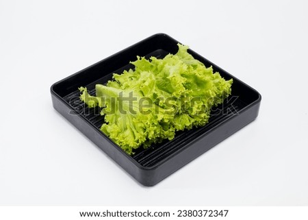 Vegetable Salad Buffet Salad vegetables for buffet meals Vegetables for cooking Pictures for menu design