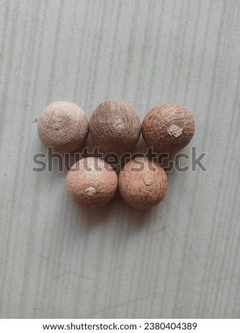 Betel nut, also known as areca nut, is the seed of the Areca catechu palm tree Royalty-Free Stock Photo #2380404389