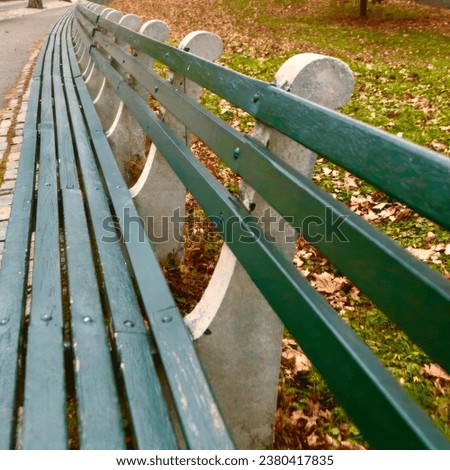 Perspective of a public bench in Central Park, New York.