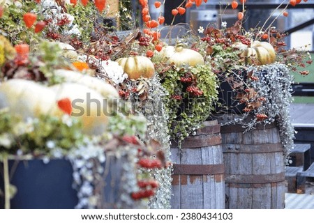 Pumpkins for Halloween in an urban environment