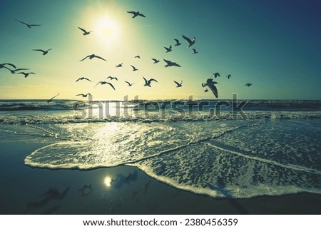 Seascape in the evening. Sunset over the sea. Seagulls flying on the beach. Atlantic ocean in the evening. Porto, Portugal, Europe Royalty-Free Stock Photo #2380456359