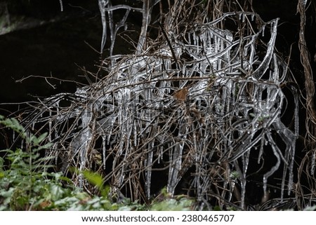 Phenomenal icicles on bushes and grass, moss on rocks in the background. Low temperature in the mountains and high air humidity.