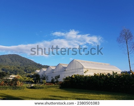 Greenhouse in Bedugul Bali with green lush hills backdrop and tropical plants surrounding the building and clear blue skies