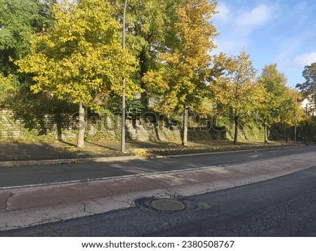 Beautiful picture of nature and trees with different colored foliage, green, yellow, strongly lit by the Sun, early autumn, natural beauty, along an urban avenue completely in the shadow,