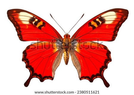 A vibrant red butterfly with distinct black spots on its wings. This beautiful insect can add a touch of color to any project or design. Royalty-Free Stock Photo #2380511621