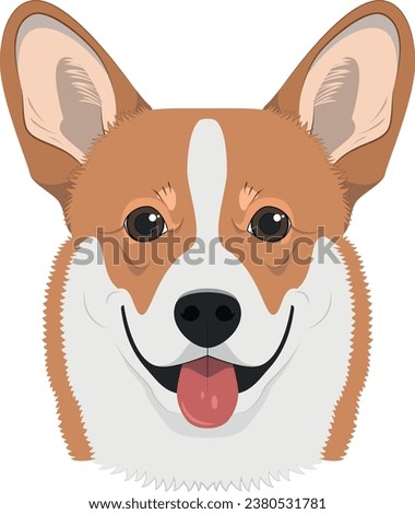 Pembroke Welsh Corgi dog isolated on white background vector illustration