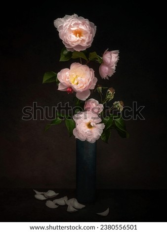 Last of the summer roses, floral still life with beautiful pink fading roses in vase. Royalty-Free Stock Photo #2380556501