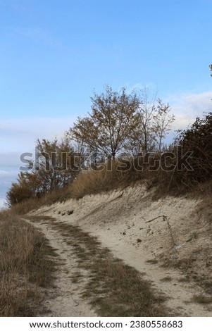 A dirt road with trees and bushes on a hill