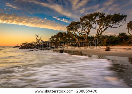 Morning light and waves at Driftwood Beach, on the Atlantic Ocean at Jekyll Island, Georgia. Royalty-Free Stock Photo #238059490