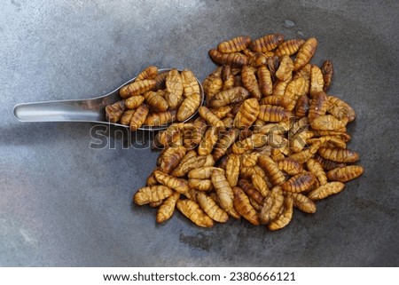 Fried silkworms. Concept, eating insects. Traditional Thai Street Food, Edible Worms. Weird food. Insect eating. High protein. Weird food.                             