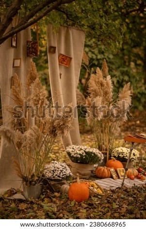 Autumn style. Decorations for the photo zone. Empty picture frames. Artist's style
