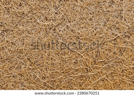 Coconut fiber solid background image. Material is used for many purposes including gardening and manufacturing of doormats, brushes and mattresses. Royalty-Free Stock Photo #2380670251