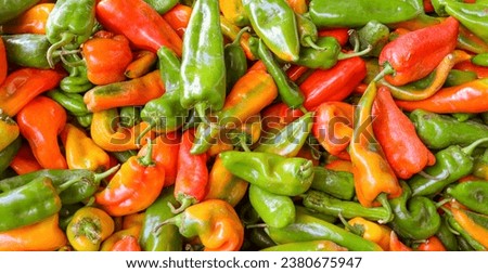 Top view chili pepper texture background photo. Colorful peppers red, green and orange
