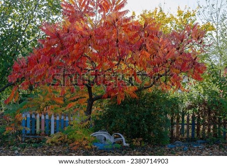 Autumn natural landscape. Beautiful fence on the background of autumn leaves, trees. Autumn composition.