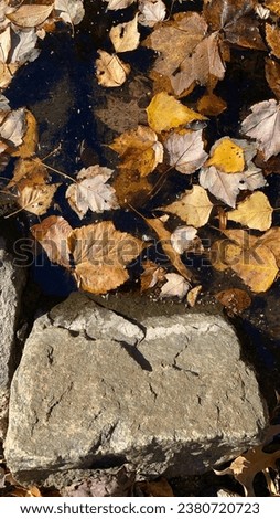A gray boulder along a waters side. Some fall leaves floating inside the waterway. With open text space on the stone. 
