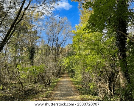 Stunning view of the beautiful autumn park forest landscape with pedestrian alles and green yellow trees on a sunny day Royalty-Free Stock Photo #2380728907