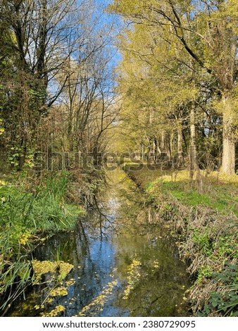 Stunning view of the beautiful autumn park forest landscape with small river and green yellow trees on a sunny day Royalty-Free Stock Photo #2380729095