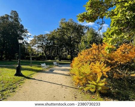 Stunning view of the beautiful autumn park  landscape with green yellow trees on a sunny day Royalty-Free Stock Photo #2380730233