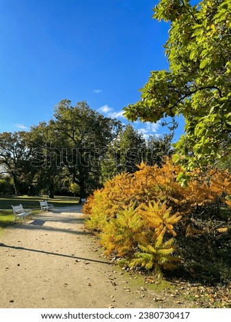 Stunning view of the beautiful autumn park  landscape with green yellow trees on a sunny day Royalty-Free Stock Photo #2380730417