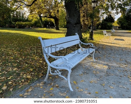 Stunning view of a white bench in beautiful autumn park forest landscape with green yellow trees on a sunny day Royalty-Free Stock Photo #2380731051