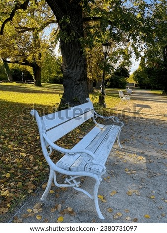 Stunning view of a white bench in beautiful autumn park forest landscape with green yellow trees on a sunny day Royalty-Free Stock Photo #2380731097