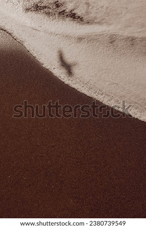 Foam wave and brown sand on the beach. Sea wave on sand beach photo background. Coral beach sand with sea wave. White sand of oceanic coastline. Exotic island seaside banner with place for text.