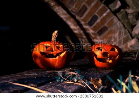 Halloween design with pumpkins. DIY Halloween pumpkins on a natural background.