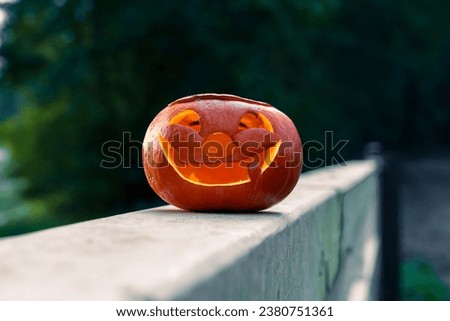 Halloween design with pumpkins. DIY Halloween pumpkins on a natural background.
