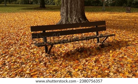 Beautiful Autumn leaves and a bench  in MacDonald Gardens park Lowertown East Ottawa Ontario Canada.