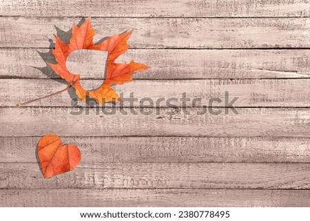 Abstract autumnal backgrounds.Autumn leaves over old wooden background. Fallen leaf on wood.Sunny Autumn time. Copy space. Minimal concept of autumn flat lay background.Autumn banner,Top view