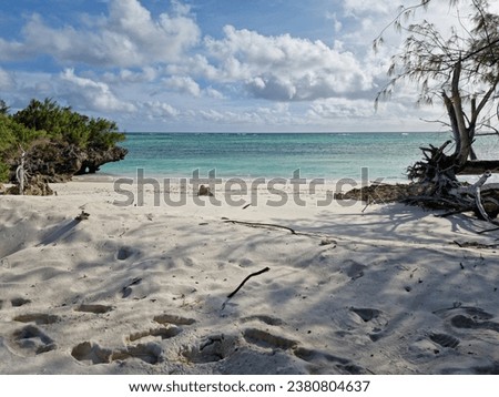 The Seychelles - Astove Island and Aldabra Island