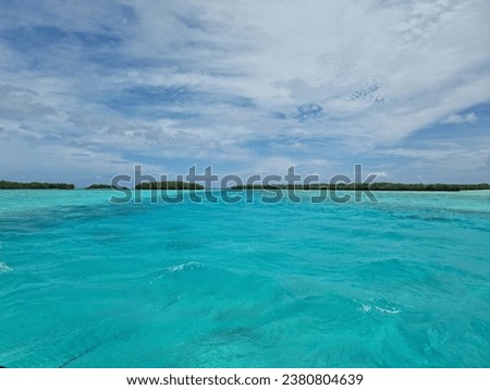 The Seychelles - Astove Island and Aldabra Island