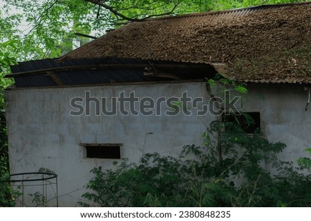 Destroyed houses in which people lived in a dead radioactive zone Royalty-Free Stock Photo #2380848235