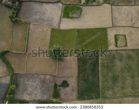 aerial drone view of fertile paddy field in Asia HD