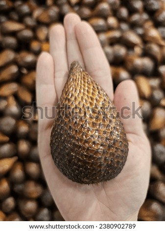 Salak ( snake fruit )  thorny palm fruits is the native fruit from indonesia, two types of salak the most people like are salak pondoh and salak bali. Fruits Wallpaper for design.