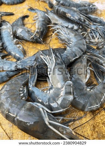 shrimp for sale in Pasar Pagi Orang Asli Bakar Batu, Johor, Malaysia. (morning market)